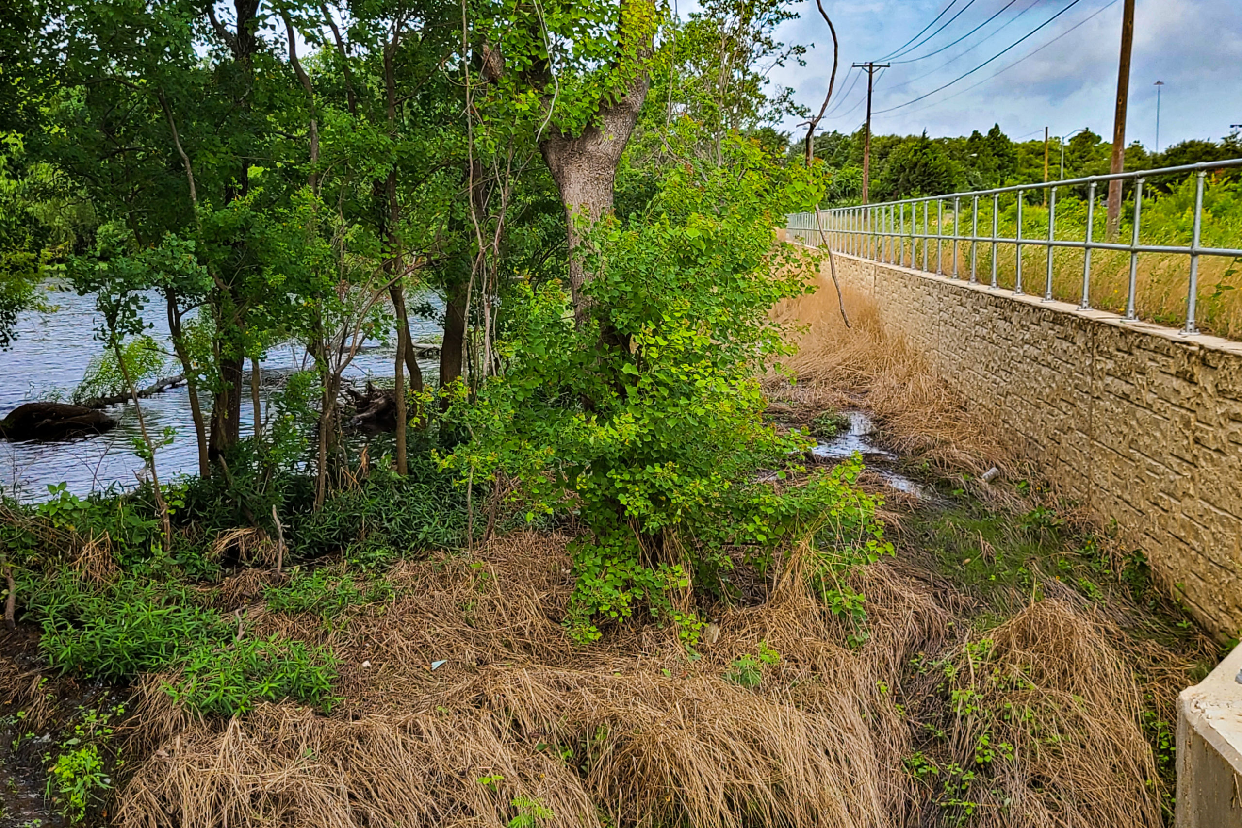 Kensington Detention Pond