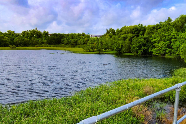 Kensington Detention Pond