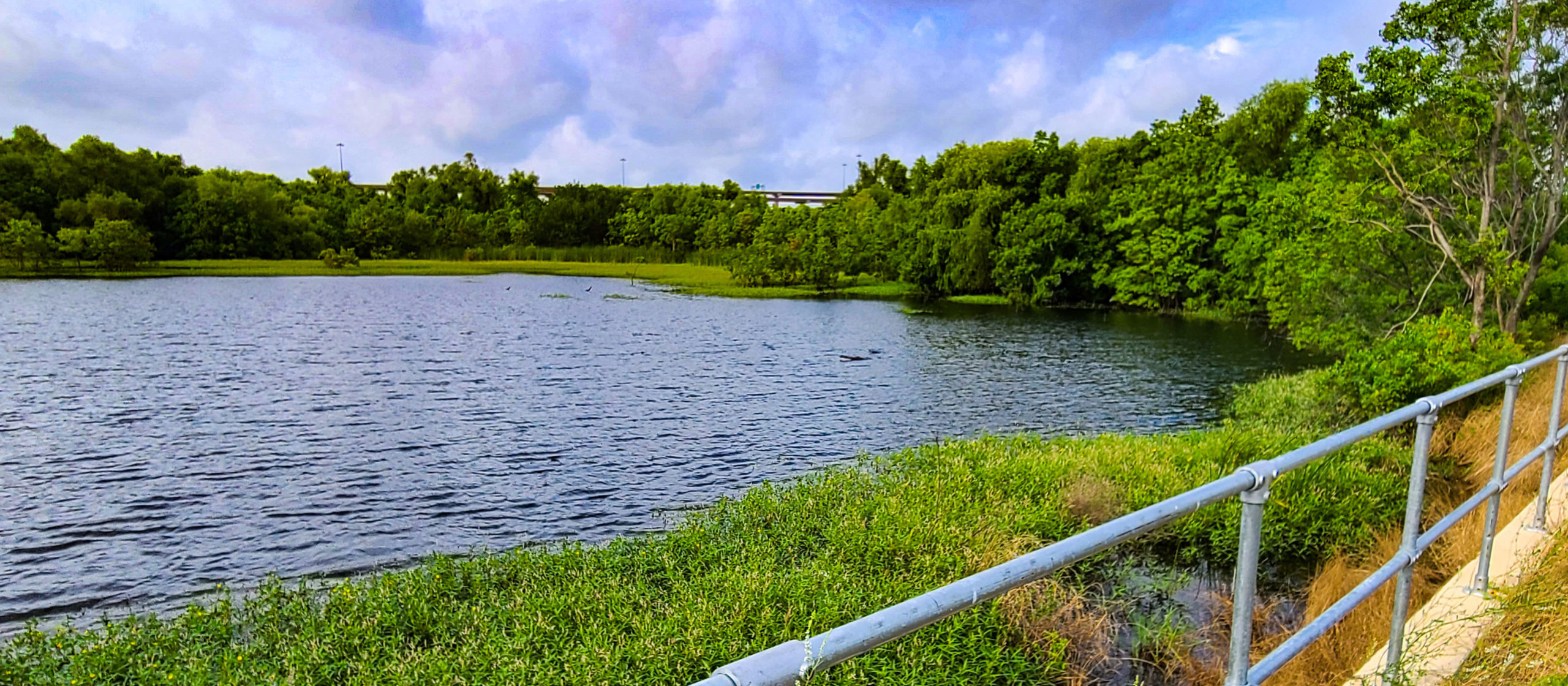 Kensington Detention Pond