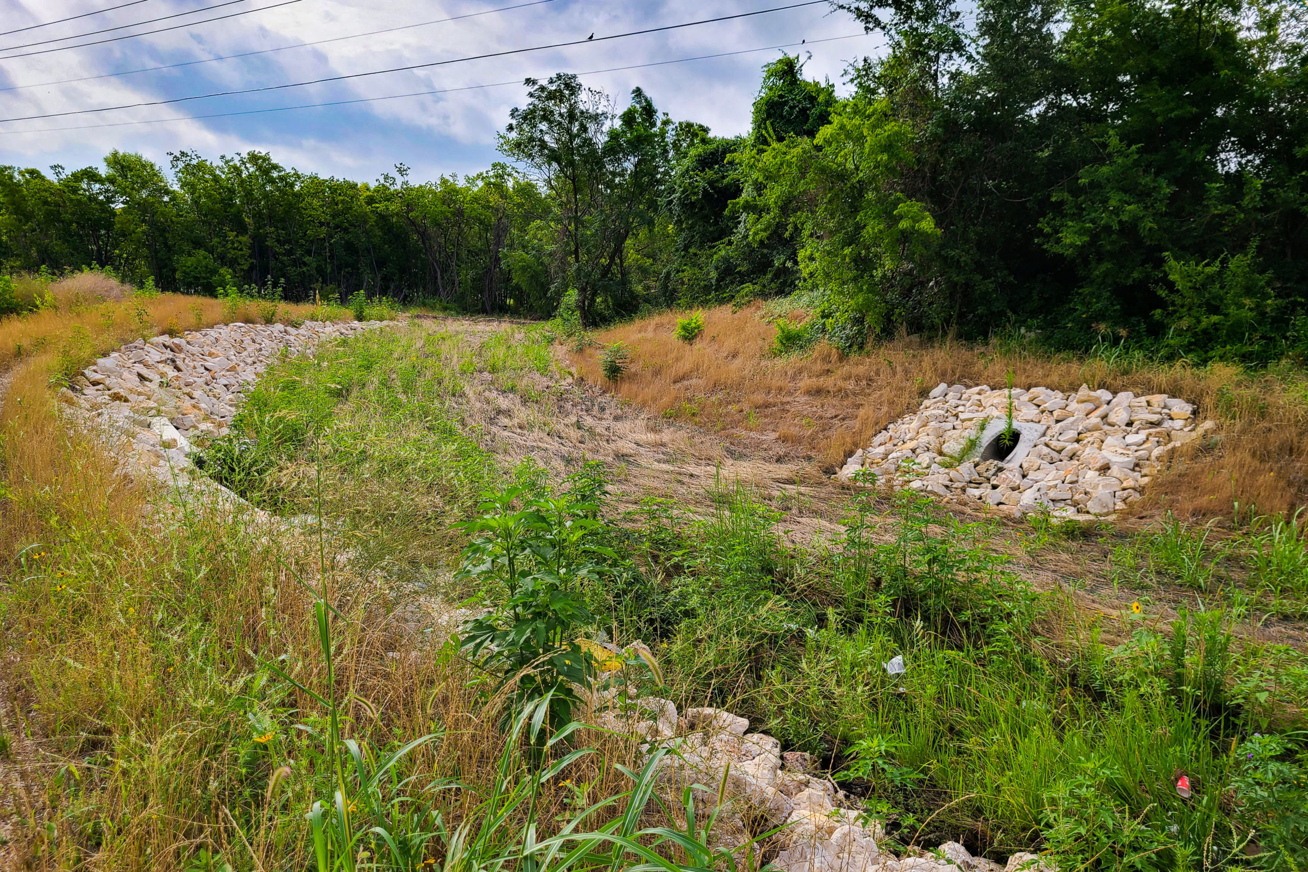 Kensington Detention Pond