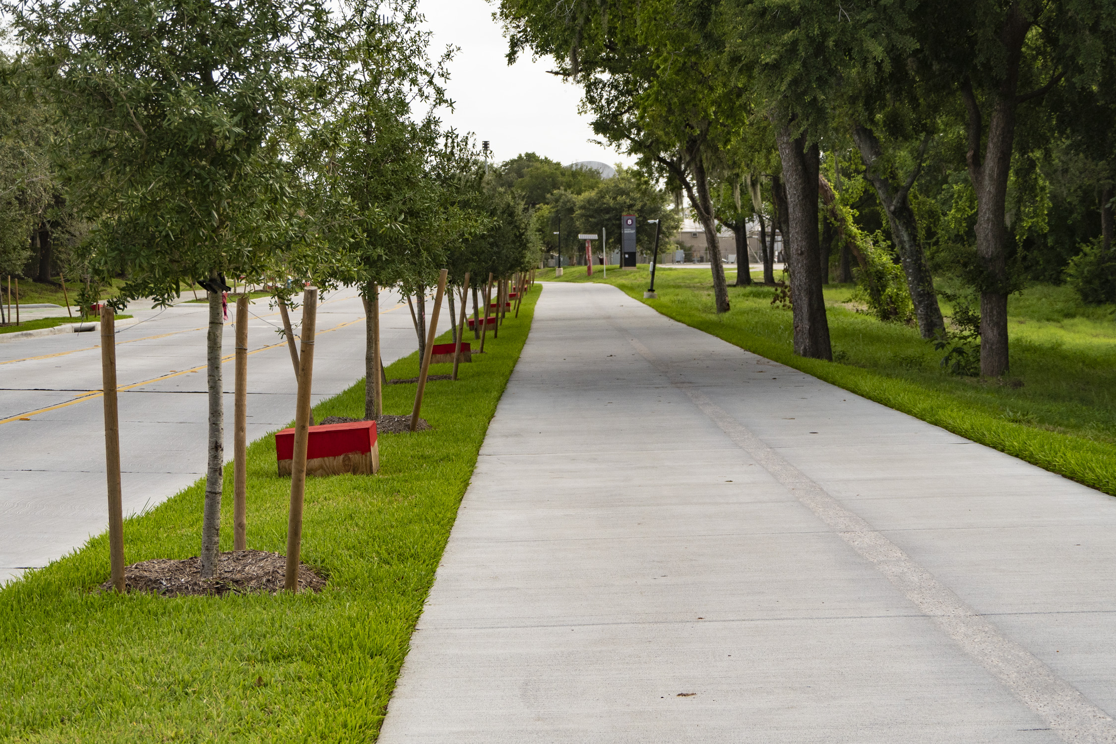 Walkway lined with trees at Cullen Boulevard