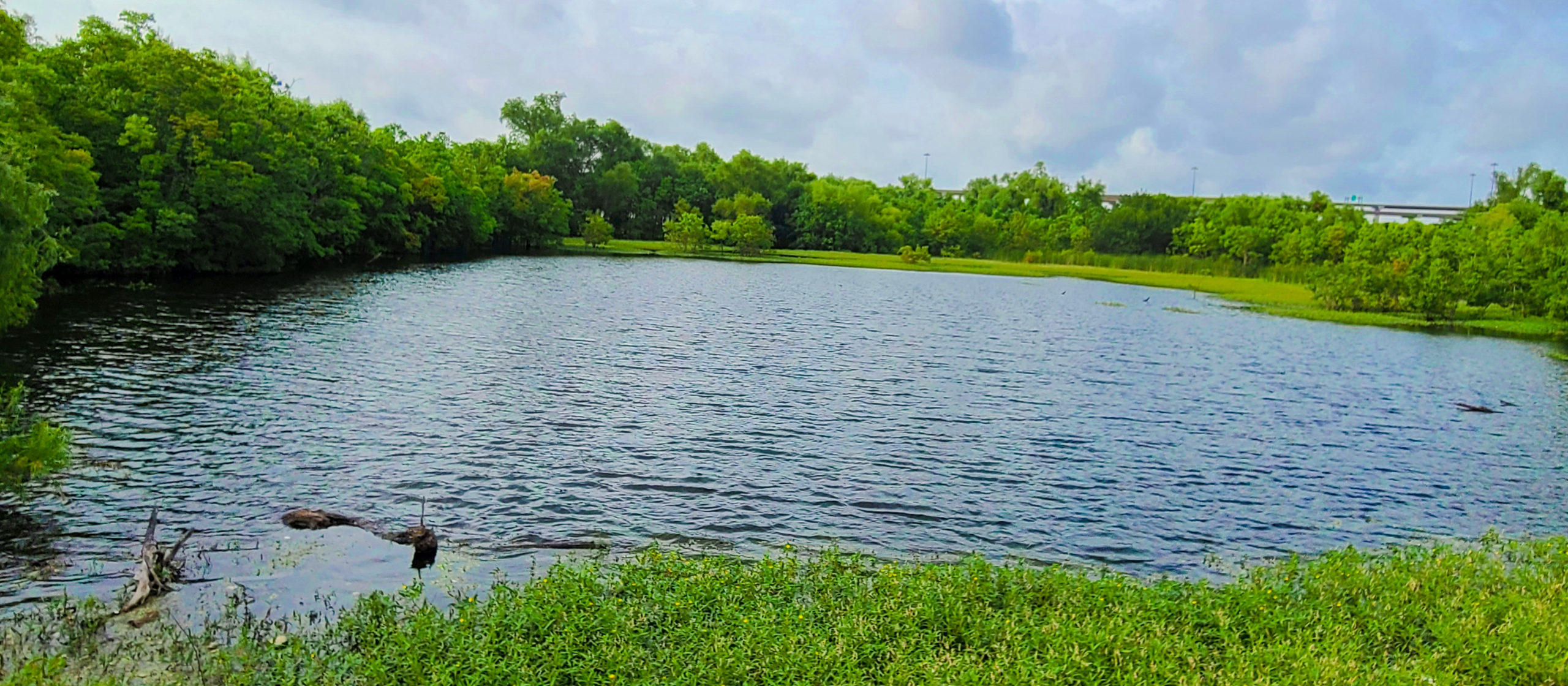 retention pond