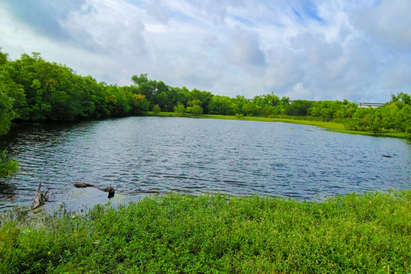 retention pond